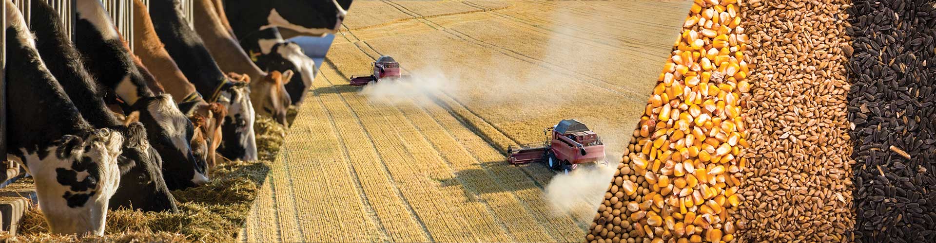 specialty equipment feed grain dairy